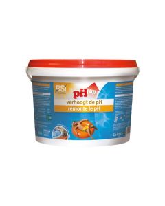 BSI 6265 pH UP Powder 2